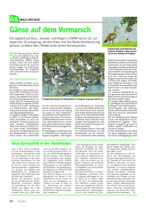 WALD UND JAGD Landwirtschaftliches Wochenblatt Gänse auf dem Vormarsch Die Jagdzeit auf Grau-, Kanada- und Nilgans in NRW hat am 16.