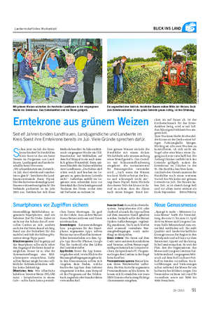 Landwirtschaftliches Wochenblatt BLICK INS LAND Erntekrone aus grünem Weizen Seit elf Jahren binden Landfrauen, Landjugendliche und Landwirte im Kreis Soest ihre Erntekrone bereits im Juli.