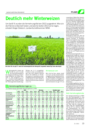 Landwirtschaftliches Wochenblatt PFLANZE Deutlich mehr Winterweizen Um fast 8 % wurden die Vermehrungsflächen 2013 ausgedehnt.