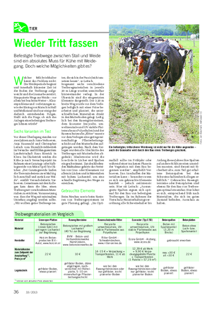 TIER Landwirtschaftliches Wochenblatt Wieder Tritt fassen Befestigte Treibwege zwischen Stall und Weide sind ein absolutes Muss für Kühe mit Weide- gang.