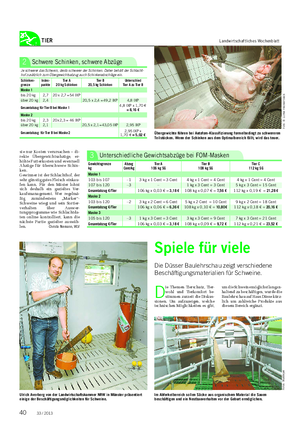 TIER Landwirtschaftliches Wochenblatt Schwere Schinken, schwere Abzüge2 Je schwerer das Schwein, desto schwerer der Schinken.