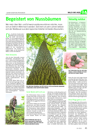 Landwirtschaftliches Wochenblatt WALD UND JAGD Begeistert von Nussbäumen Wer mehr über Wal- und Schwarznussbäume erfahren möchte, muss sich an Dietrich Wehrmann wenden.