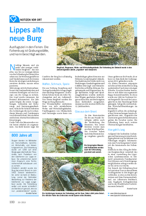 NOTIZEN VOR ORT Landwirtschaftliches Wochenblatt Lippes alte neue Burg Ausflugsziel in den Ferien: Die Falkenburg ist Grabungsstätte, und kann besichtigt werden.