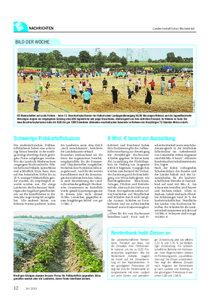 NACHRICHTEN Landwirtschaftliches Wochenblatt 65 Mannschaften auf sechs Feldern – beim 13.