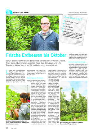 BETRIEB UND MARKT Landwirtschaftliches Wochenblatt Frische Erdbeeren bis Oktober Vor 24 Jahren hat Arne Korn den Betrieb seiner Eltern in Welver-Einecke, Kreis Soest, übernommen: ein altes Haus, zwei Schuppen und 1 ha Eigenland.