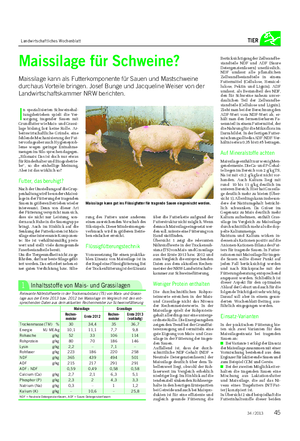 Landwirtschaftliches Wochenblatt TIER Maissilage für Schweine?