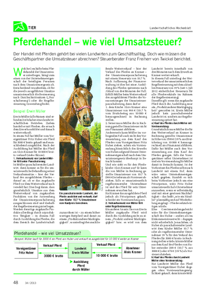 TIER Landwirtschaftliches Wochenblatt Pferdehandel – wie viel Umsatzsteuer?