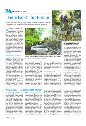 NATUR UND GARTEN Landwirtschaftliches Wochenblatt „Freie Fahrt“ für Fische Durch das Beschäftigungsprojekt „Wasser im Fluss“ werden Fließgewässer im Kreis Lippe wieder naturnah gestaltet.