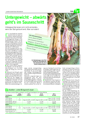 Landwirtschaftliches Wochenblatt TIER Untergewicht – abwärts geht’s im Sauseschritt Untergewichte lassen sich nicht vermeiden, wenn der Stall geräumt wird.