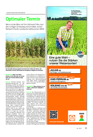Landwirtschaftliches Wochenblatt PFLANZE Optimaler Termin Wann ist der Mais reif fürs Häckseln?
