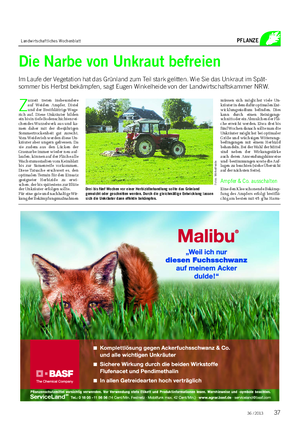 Landwirtschaftliches Wochenblatt PFLANZE Die Narbe von Unkraut befreien Im Laufe der Vegetation hat das Grünland zum Teil stark gelitten.