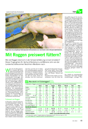 Landwirtschaftliches Wochenblatt TIER Mit Roggen preiswert füttern?