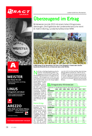 PFLANZE Landwirtschaftliches Wochenblatt Überzeugend im Ertrag Winterweizen konnte 2013 mit einem hohen Ertragsniveau überzeugen.