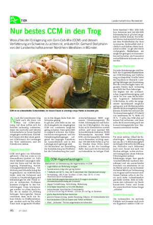 TIER Landwirtschaftliches Wochenblatt Nur bestes CCM in den Trog Worauf bei der Einlagerung von Corn-Cob-Mix (CCM) und dessen Verfütterung an Schweine zu achten ist, erläutert Dr.
