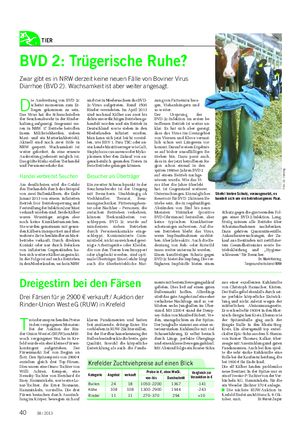 TIER Landwirtschaftliches Wochenblatt D ie Ausbreitung von BVD 2c scheint momentan zum Er- liegen gekommen zu sein.