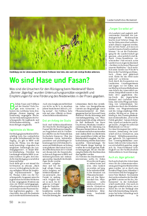 WALD UND JAGD Landwirtschaftliches Wochenblatt B leiben Fasan und Feldhase auf der Strecke?