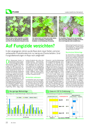 PFLANZE Landwirtschaftliches Wochenblatt D ie Rapsaussaat konnte in diesem Jahr in allen Landes- teilen termingerecht und bo- denschonend von Mitte bis Ende August durchgeführt werden.