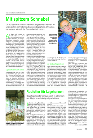 Landwirtschaftliches Wochenblatt TIER Mit spitzem Schnabel Die auf dem Hof Vriesen in Bocholt eingestallten Hennen mit ungekürztem Schnabel starten in die Legephase.