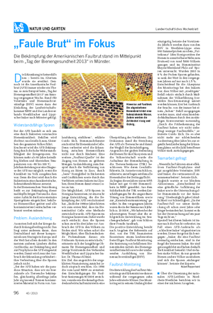 NATUR UND GARTEN Landwirtschaftliches Wochenblatt „Faule Brut“ im Fokus Die Bekämpfung der Amerikanischen Faulbrut stand im Mittelpunkt beim „Tag der Bienengesundheit 2013“ in Münster.