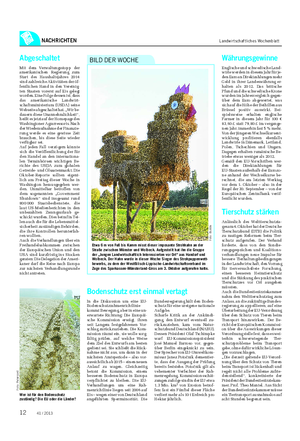 NACHRICHTEN Landwirtschaftliches Wochenblatt Etwa 6 m von Fuß bis Kamm misst dieser imposante Strohhahn an der Straße zwischen Münster und Wolbeck.