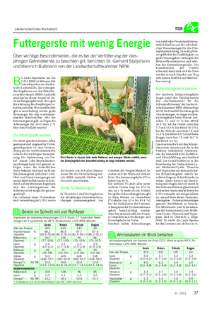 Landwirtschaftliches Wochenblatt TIER Futtergerste mit wenig Energie Über wichtige Besonderheiten, die es bei der Verfütterung der dies- jährigen Getreideernte zu beachten gilt, berichten Dr.