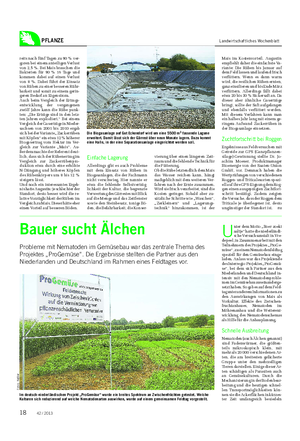 PFLANZE Landwirtschaftliches Wochenblatt Bauer sucht Älchen Probleme mit Nematoden im Gemüsebau war das zentrale Thema des Projektes „ProGemüse“.