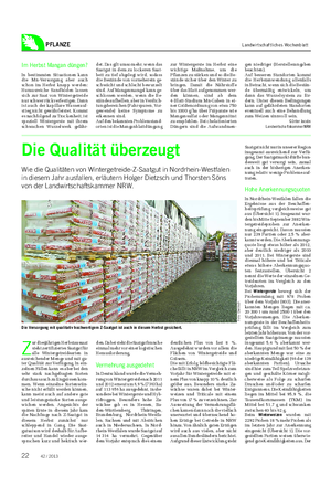 PFLANZE Landwirtschaftliches Wochenblatt Die Qualität überzeugt Wie die Qualitäten von Wintergetreide-Z-Saatgut in Nordrhein-Westfalen in diesem Jahr ausfallen, erläutern Holger Dietzsch und Thorsten Söns von der Landwirtschaftskammer NRW.
