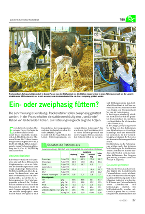 Landwirtschaftliches Wochenblatt TIER E s ist die Kluft zwischen The- orie und Praxis: Die Deutsche Landwirtschafts-Gesell- schaft (DLG) empfiehlt, trocken- stehende Milchkühe in zwei Pha- sen zu füttern.