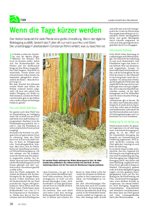 TIER Landwirtschaftliches Wochenblatt Wenn die Tage kürzer werden Der Herbst bedeutet für viele Pferde eine große Umstellung.