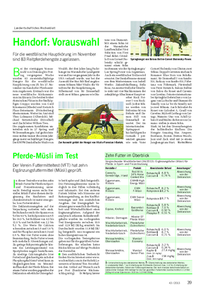Landwirtschaftliches Wochenblatt TIER Pferde-Müsli im Test Der Verein Futtermitteltest (VFT) hat zehn Ergänzungsfuttermittel (Müsli) geprüft.