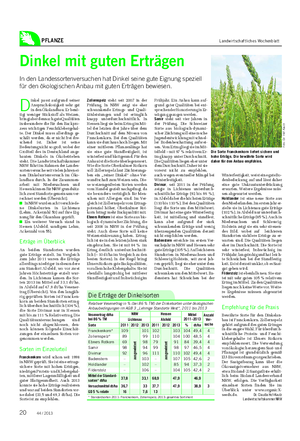 PFLANZE Landwirtschaftliches Wochenblatt Dinkel mit guten Erträgen In den Landessortenversuchen hat Dinkel seine gute Eignung speziell für den ökologischen Anbau mit guten Erträgen bewiesen.