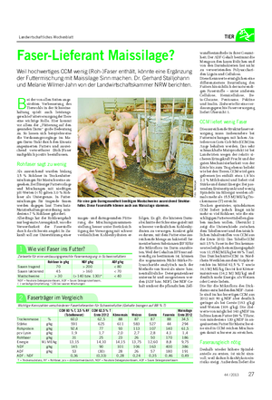 Landwirtschaftliches Wochenblatt TIER Faser-Lieferant Maissilage?