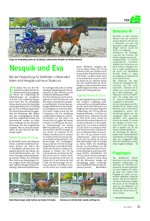 Landwirtschaftliches Wochenblatt TIER Nesquik und Eva Bei der Feldprüfung für Kaltblüter in Warendorf traten acht Hengste und neun Stuten an.