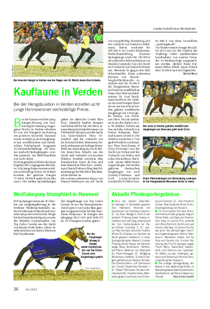 TIER Landwirtschaftliches Wochenblatt Kauflaune in Verden Bei der Hengstauktion in Verden erzielten acht junge Hannoveraner sechsstellige Preise.
