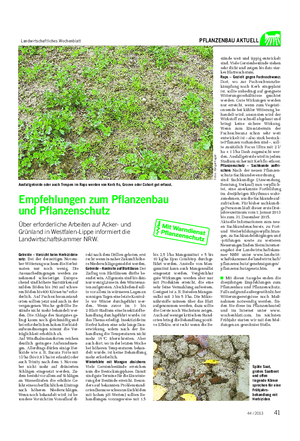 Landwirtschaftliches Wochenblatt PFLANZENBAU AKTUELL Getreide – Vorsicht beim Herbizidein- satz: Bei der derzeitigen Novem- ber-Witterung wachsen die Herbst- saaten nur noch wenig.