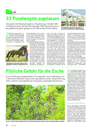 TIER Landwirtschaftliches Wochenblatt Pilzliche Gefahr für die Esche Ein aus Osteuropa eingewanderter Pilz sorgt dafür, dass mittlerweile auch in Nordrhein-Westfalen viele Eschen abzusterben drohen.