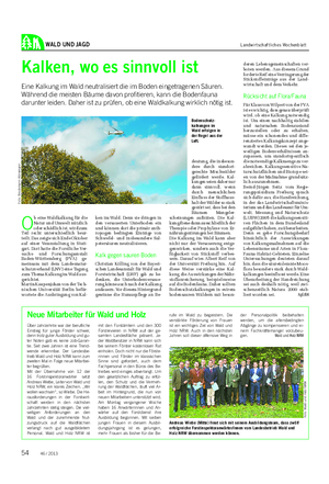 WALD UND JAGD Landwirtschaftliches Wochenblatt Kalken, wo es sinnvoll ist Eine Kalkung im Wald neutralisiert die im Boden eingetragenen Säuren.