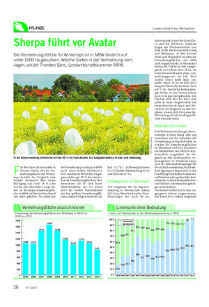PFLANZE Landwirtschaftliches Wochenblatt F ür die Ernte 2014 wurden in diesem Herbst 881 ha Ver- mehrungsfläche mit Winter- raps bestellt.