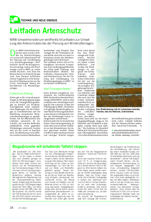 TECHNIK UND NEUE ENERGIE Landwirtschaftliches Wochenblatt Leitfaden Artenschutz NRW-Umweltministerium veröffentlicht Leitfaden zur Umset- zung des Artenschutzes bei der Planung von Windkraftanlagen.