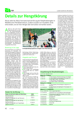 TIER Landwirtschaftliches Wochenblatt Details zur Hengstkörung Neuer zeitlicher Ablauf kennzeichnet die Körung der Reitpferdehengste im Westfälischen Pferdestammbuch.