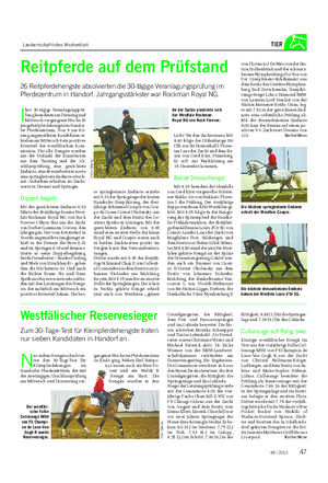 Landwirtschaftliches Wochenblatt TIER Reitpferde auf dem Prüfstand 26 Reitpferdehengste absolvierten die 30-tägige Veranlagungsprüfung im Pferdezentrum in Handorf.