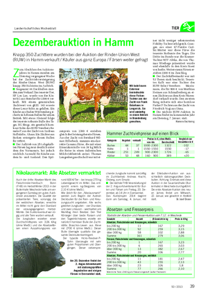 Landwirtschaftliches Wochenblatt TIER Z um Abschluss des Auktions- jahres in Hamm standen am Dienstag vergangener Woche bei der Zuchtviehversteigerung der Rinder-Union West (RUW) knapp 350 Holsteins im Auftrieb.