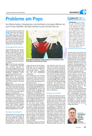 Landwirtschaftliches Wochenblatt GESUNDHEIT Probleme am Popo Von Hämorrhoiden, Analekzemen und Analfisteln sind sowohl Männer als auch Frauen betroffen.
