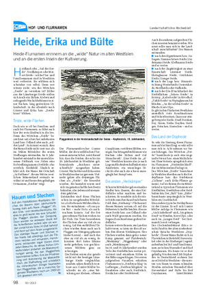 HOF- UND FLURNAMEN Landwirtschaftliches Wochenblatt Heide, Erika und Bülte Heide-Flurnamen erinnern an die „wilde“ Natur im alten Westfalen und an die ersten Inseln der Kultivierung.