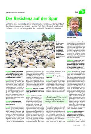 Landwirtschaftliches Wochenblatt TIER Der Resistenz auf der Spur Mühsam, aber nachhaltig: Über Chancen und Hemmnisse der Zucht auf Krankheitsresistenz bei Schafen spricht Prof.