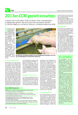 TIER Landwirtschaftliches Wochenblatt 2013er-CCM gezielt einsetzen In diesem Jahr wurde vielfach CCM mit höheren Faser- sowie geringeren Energiegehalten geerntet.