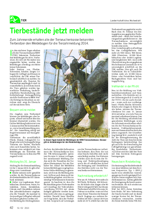 TIER Landwirtschaftliches Wochenblatt Tierbestände jetzt melden Zum Jahresende erhalten alle der Tierseuchenkasse bekannten Tierbesitzer den Meldebogen für die Tierzahlmeldung 2014.