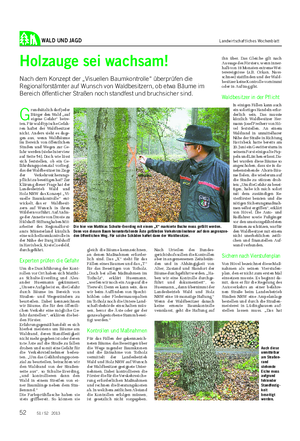WALD UND JAGD Landwirtschaftliches Wochenblatt Holzauge sei wachsam!