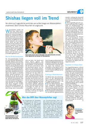 Landwirtschaftliches Wochenblatt GESUNDHEIT 51 / 52 2013 W asserpfeifen werden mit oder ohne Tabak konsu- miert und sprechen durch zahlreiche Aromen ein junges Pu- blikum an.