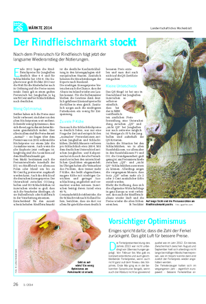 MÄRKTE 2014 Landwirtschaftliches Wochenblatt E nde 2012 lagen die Rind- fleischpreise für Jungbullen deutlich über 4 € und für Schlachtkühe bei 3,50 €.